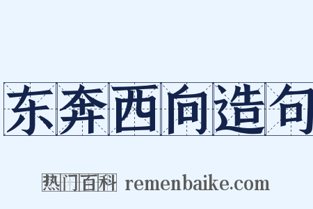 东奔西向造句是什么意思的图片